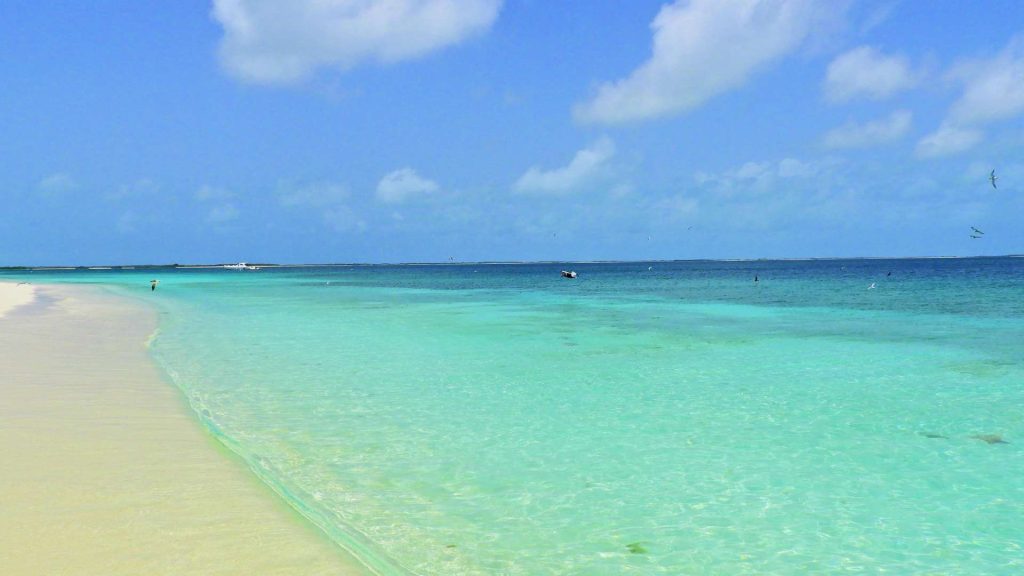 playas los roques venezuela